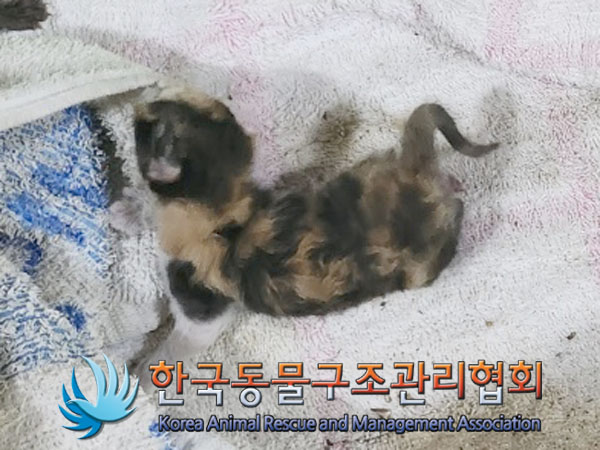 한국동물구조관리협회_411315202300372